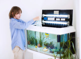 Precauzioni per pulire un acquario 1164 0 Precauzioni per pulire un acquario_ok